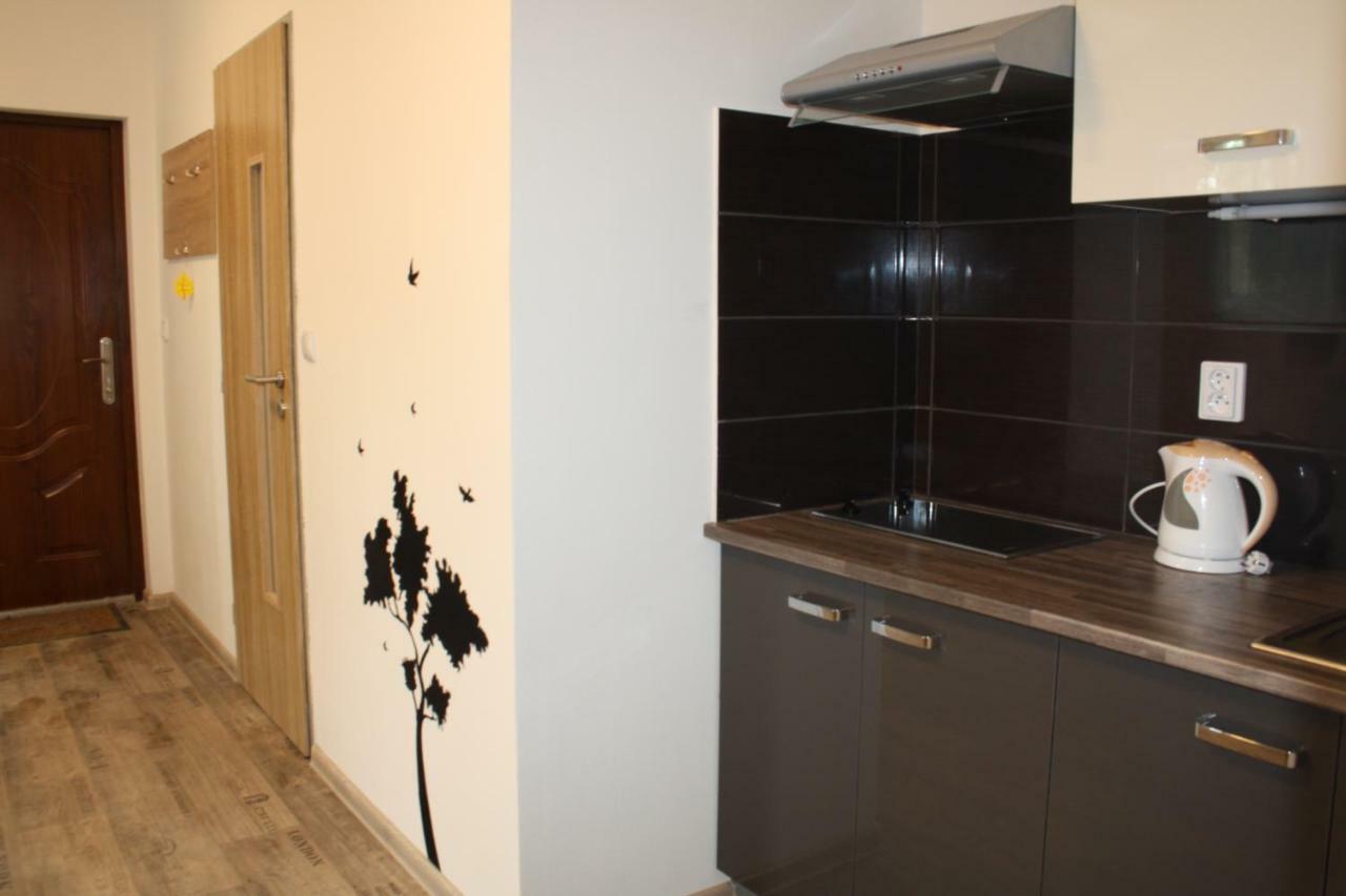 אוסטרבה Apartmany City מראה חיצוני תמונה